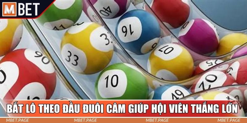 Bắt lô theo đầu đuôi câm giúp hội viên thắng lớn Bắt lô theo đầu đuôi câm giúp hội viên thắng lớn