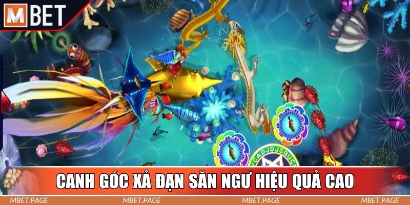 Canh góc xả đạn săn ngư hiệu quả cao Canh góc xả đạn săn ngư hiệu quả cao