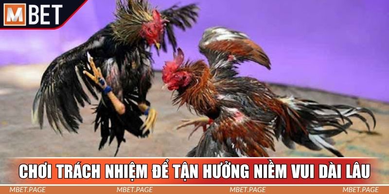 Chơi có trách nhiệm để tận hưởng niềm vui dài lâu Chơi có trách nhiệm để tận hưởng niềm vui dài lâu