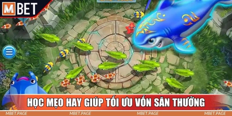 Học mẹo hay giúp tối ưu nguồn vốn, săn thưởng dễ dàng Học mẹo hay giúp tối ưu nguồn vốn, săn thưởng dễ dàng