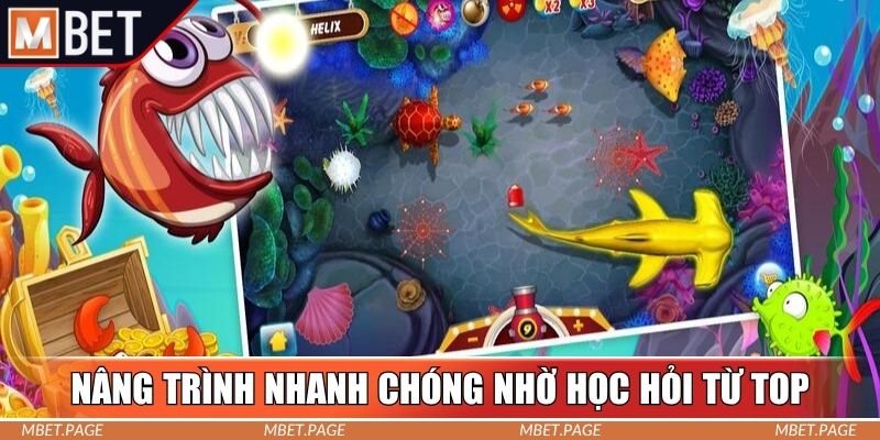 Nâng trình nhanh chóng nhờ học hỏi từ top Nâng trình nhanh chóng nhờ học hỏi từ top