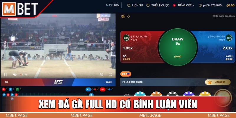 Xem đá gà full HD sôi động cùng bình luận viên Xem đá gà full HD sôi động cùng bình luận viên